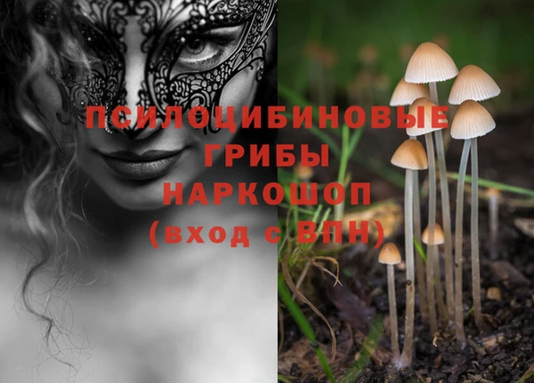 молекула духа Липки