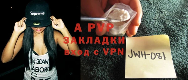 ГАЛЛЮЦИНОГЕННЫЕ ГРИБЫ Лагань